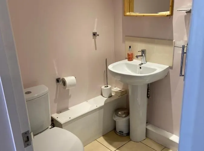 The Ashton Gate Mews 招待所 布里斯托