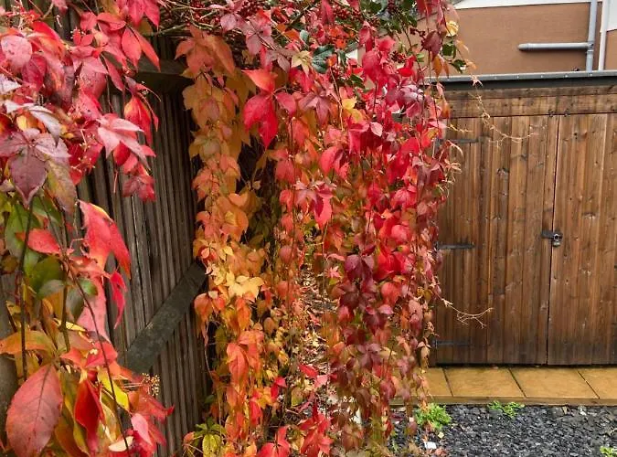 The Ashton Gate Mews Penzion 3*